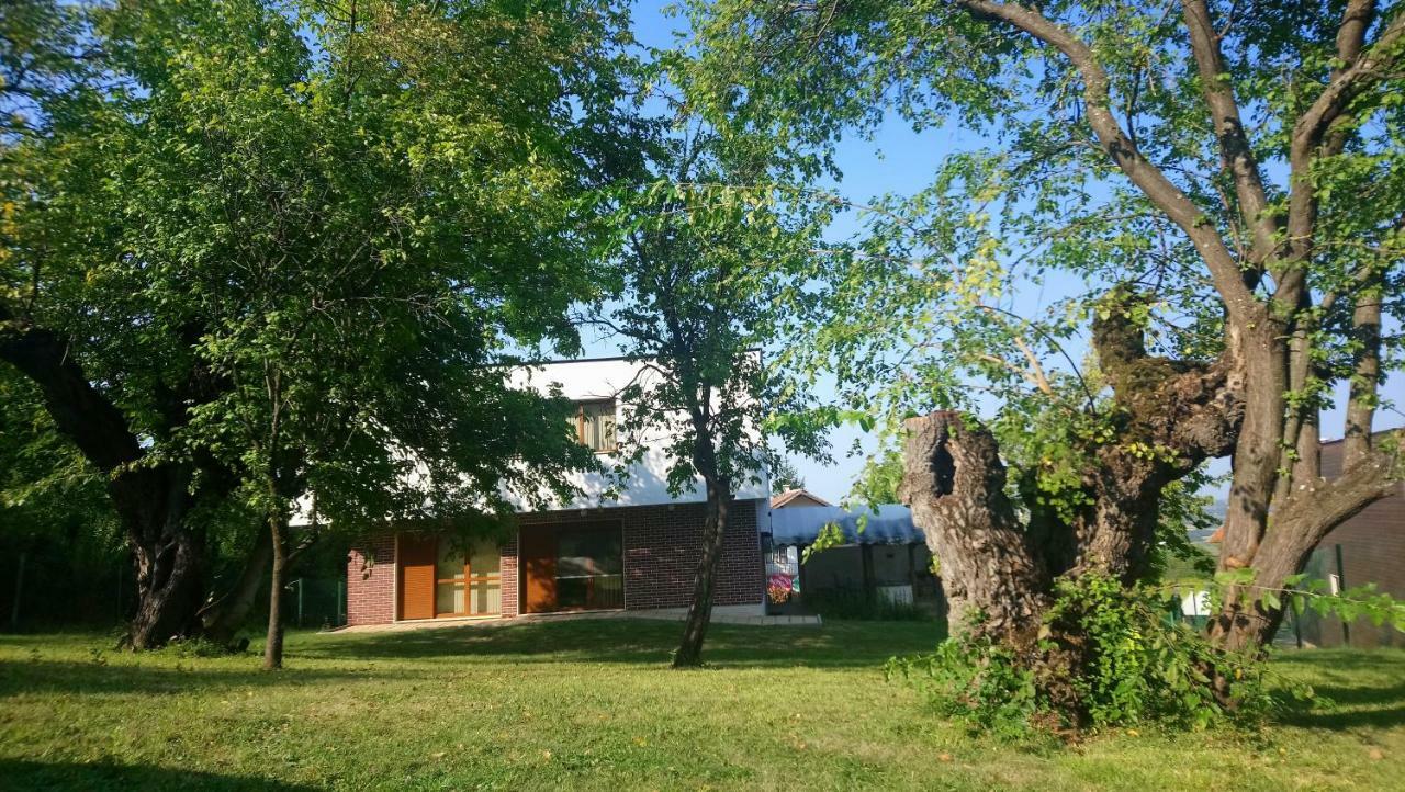 Villa Dream Dobrevtsi Extérieur photo
